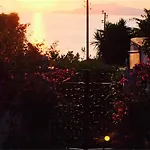 Casa Sofia 3*