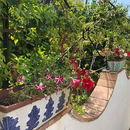 Casa Sofia Πανσιόν