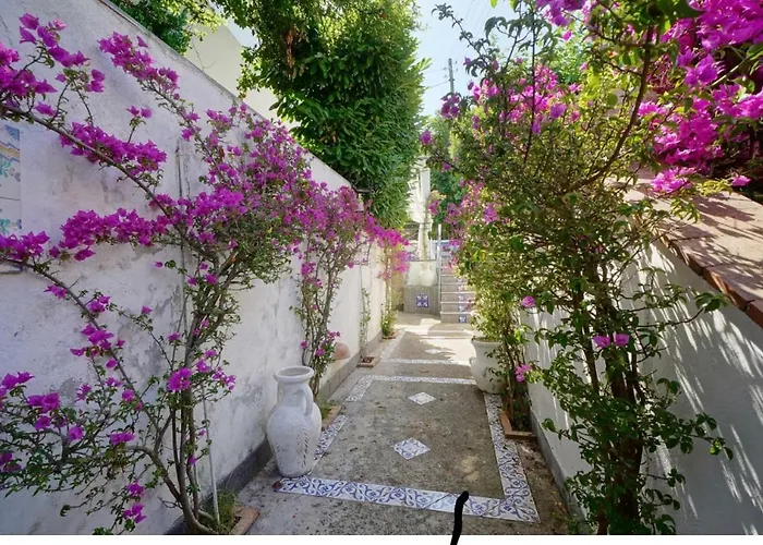 Πανσιόν Casa Sofia