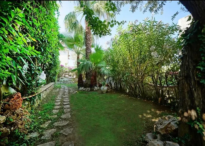 Casa Sofia Maison d'hôtes Anacapri (Isola di Capri)