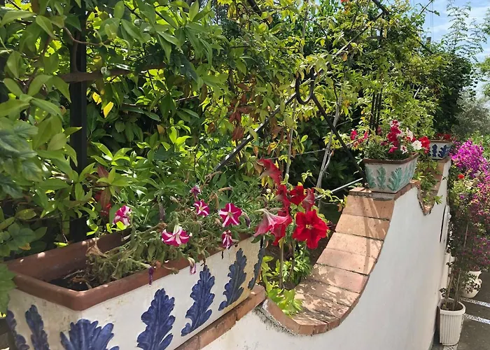 Casa Sofia Maison d'hôtes