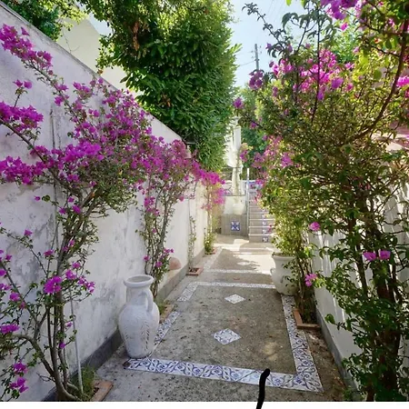 Konukevi Casa Sofia