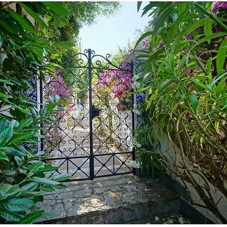 Guest house Casa Sofia 2*