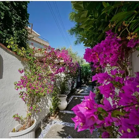 Konukevi Casa Sofia Anacapri (Isola di Capri)